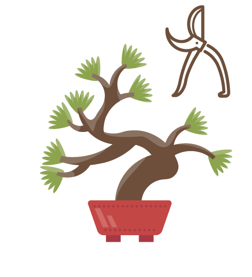 Entretien du bonsaï : comment en prendre soin?